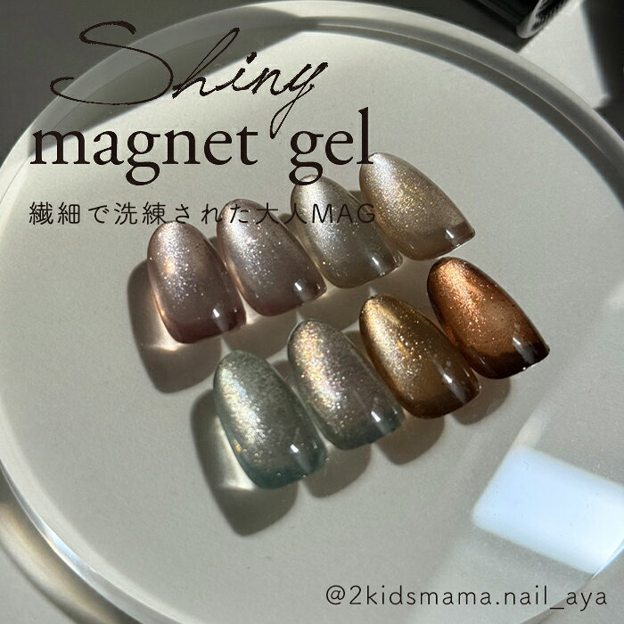 微粒子 マグネットジェル inbity シャイニーマグネットジェル ShinymagnetGel ジェ...