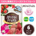 ★最短発送★フリーズドライ フルーツ  無添加 無加糖 6袋 セット mirai fruits(ミライフルーツ) 防災