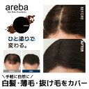 白髪染め 白髪隠し 薄毛カバー 抜け毛カバー ヘアファンデーション メンズ ヘアラインメーク areba 黒 茶 白髪ぼかし 部分白髪染め 白髪隠しポンポン
