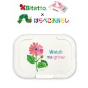 ★最短発送★【当店限定】Bitatto ビタット はらぺこあおむし ミニサイズ [あおむしとフラワー] ウェットシート ふた …