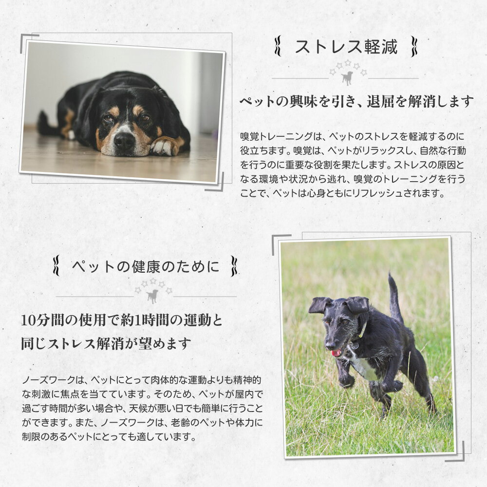 õ���ޥå� ���Ȫ �֥��饤�֡ס�����̵��(�����ϰ�����)��