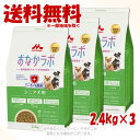 スーパーゴールド おなかラボ シニア犬用 2.4kg × 3個セット 「森乳サンワールド」【送料無料(一部地域を除く)】