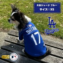 MLB公式 ドジャース 大谷ジャージ XS ブルー 「ファンタジーワールド」【全国送料無料(メール便のみ)】