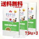 《ポイント3倍》スーパーゴールド おなかラボ シニア犬用 7.5kg × 3個セット 「森乳サンワールド」【送料無料(一部地域を除く)】
