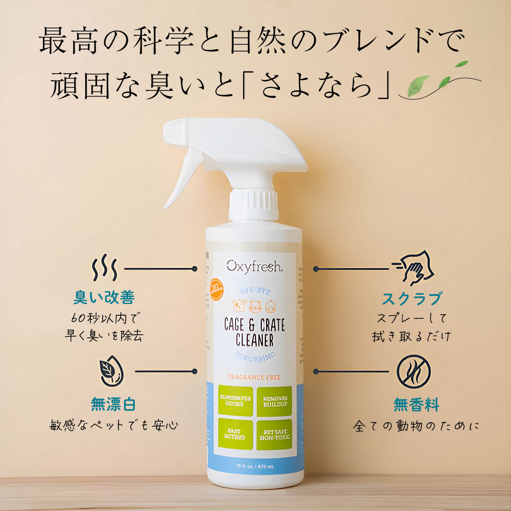 Oxyfresh ���졼��&���������꡼�ʡ� �ڥ��꡼�ʡ��� 473ml �� 12�ĥ��å� �֥ե��󥿥������ɡס�����̵��(�����ϰ�����)��