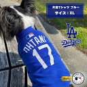 MLB公式 ドジャース 大谷Tシャツ XL ブルー 「ファンタジーワールド」【送料無料(一部地域を除く)】
