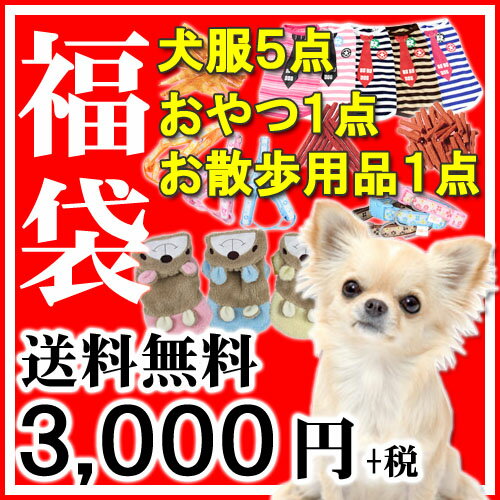 ◆PET KING 2018 福袋◆大盤振る舞い！！犬服5着＋おやつ1点＋お散歩用品1点【送料無料[一部地域を除く]】[P10]