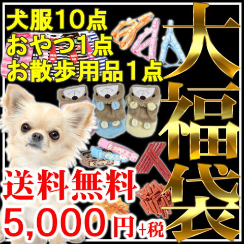 ◆PET KING 2018 大福袋◆メガ盛り大盤振る舞い！犬服10着！！＋おやつ1点！＋お散歩用品1点！【送料無料[一部地域を除く]】[P10]