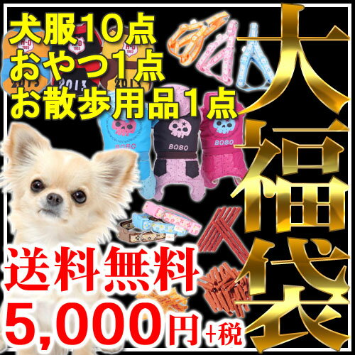 ◆PET KING 大福袋◆メガ盛り大盤振る舞い！犬服10着！！＋おやつ1点！＋お散歩用品1点！【送料無料(一部地域を除く)】[P10]