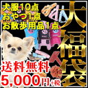 ◆PET KING 大福袋◆メガ盛り大盤振る舞い！犬服10着！！＋おやつ1点！＋お散歩用品1点！【送料無料(一部地域を除く)】