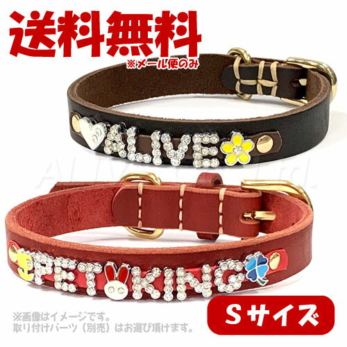 高級本革 ラグジュアリー デザイン カラー Sサイズ「ALIVE(アライブ)」【全国送料無料(メール便のみ)】