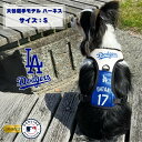 MLB公式 ドジャース 大谷ハーネス S 「ファンタジーワールド」【全国送料無料(メール便のみ)】