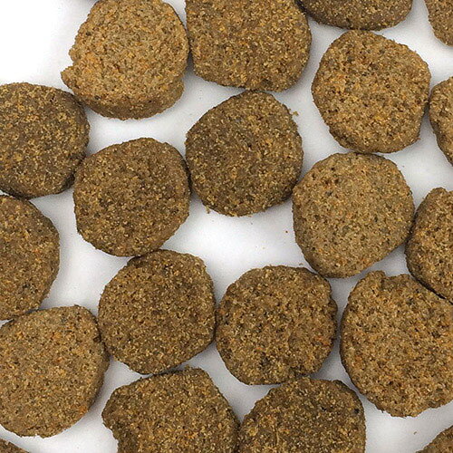 ファーストメイト ドッグ パシフィックオーシャンフィッシュ ウエイトコントロール/シニア 1kg × 16個セット ｢ボンビアルコン(FM)｣【送料無料(一部地域を除く)】 petking-10039319 PET KING サンプル画像2
