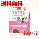 スーパーゴールド