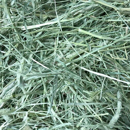 ORIMITSU ���󥰥ޥå� 3kg �� 4�ĥ��å� �ֿ��������ס�����̵��(�����ϰ�����)��