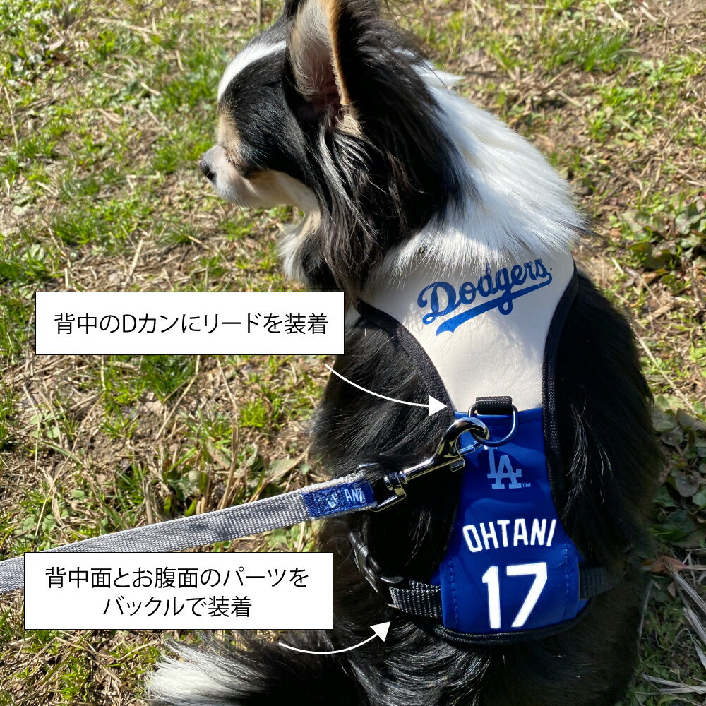 MLB公式 ドジャース 大谷ハーネス M ｢フ...の紹介画像3