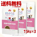 スーパーゴールド おなかラボ 子犬用 7.5kg × 3個セット 「森乳サンワールド」【送料無料(一部地域を除く)】