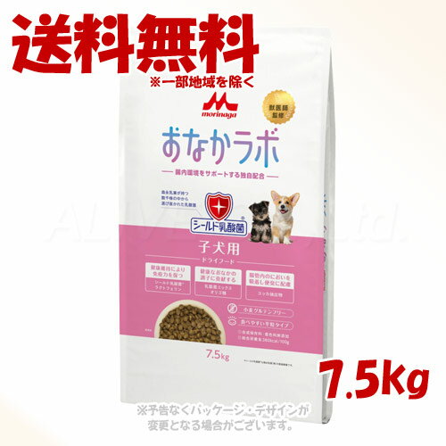 スーパーゴールドおなかラボ子犬用7...