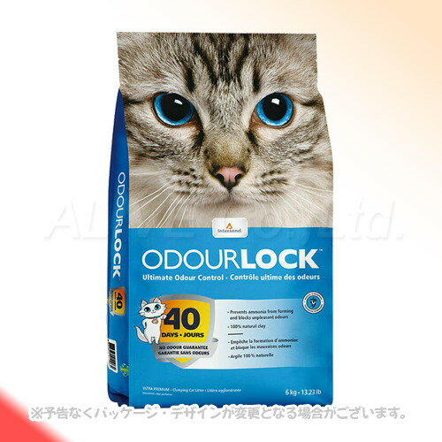 ǭ�� �����ɥ��å� 6kg ���ڥåȥץ�����ѥ󎣡�����̵��(�����ϰ�����)��