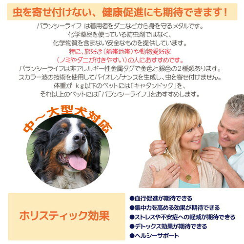 �Х�󥷡��饤�� ������� ��2�ĥ��å� ���ե��󥿥������Ɏ�������̵��(�����ϰ�����)��