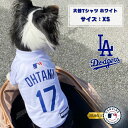 MLB公式 ドジャース 大谷Tシャツ XS ホワイト 「ファンタジーワールド」【全国送料無料(メール便のみ)】