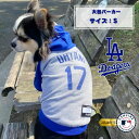 MLB公式 ドジャース 大谷パーカー S 「ファンタジーワールド」【全国送料無料(メール便のみ)】