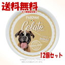 フィドベット ジェラート 40g パイナップル × 12個セット ｢ファンタジーワールド｣【送料無料 ...