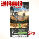 《クーポン有》アンブロシア クラシック キャットフード ターキー&ヘリング 5kg 「トリッコインターナショナル」【送料無料(一部地域を除く)】