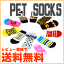 PET SOCKSʥڥåȥå ʸ//åˡ̵(᡼ؤΤ)