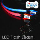 LEDフラッシュリード XLサイズ〔LED Flash Leash〕ペットとの絆を繋ぐ『L'ange(らんじゅ)』【全国送料無料(メール便のみ)】