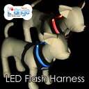 LEDフラッシュハーネス（胴輪） XSサイズ〔LED Flash Harness〕ペットとの絆を繋ぐ『L’ange（らんじゅ）』【全国送料無料(メール便のみ)】[P20[P5]][SP]