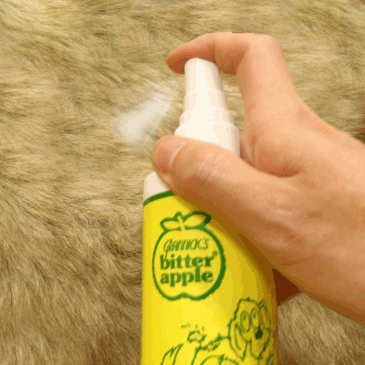 �ӥ������åץ� ���ץ졼 473ml �����ʡ��Ӥ��ʤΤ��Ĥ������ƥ�!�̥ץ�åġ͡ڹ��8,800�߰ʾ������̵��(�����ϰ�����)��