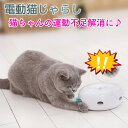 電動猫じゃらし 自動 猫 じゃらし スマートキャットトイ 電動 猫じゃらし ねこじゃらし 自動 おもちゃ ネコ 猫 ねこ キャット cat ペット 愛猫 ハイテク ランニング 羽 仔猫 猫じゃらし 猫用おもちゃ 自動