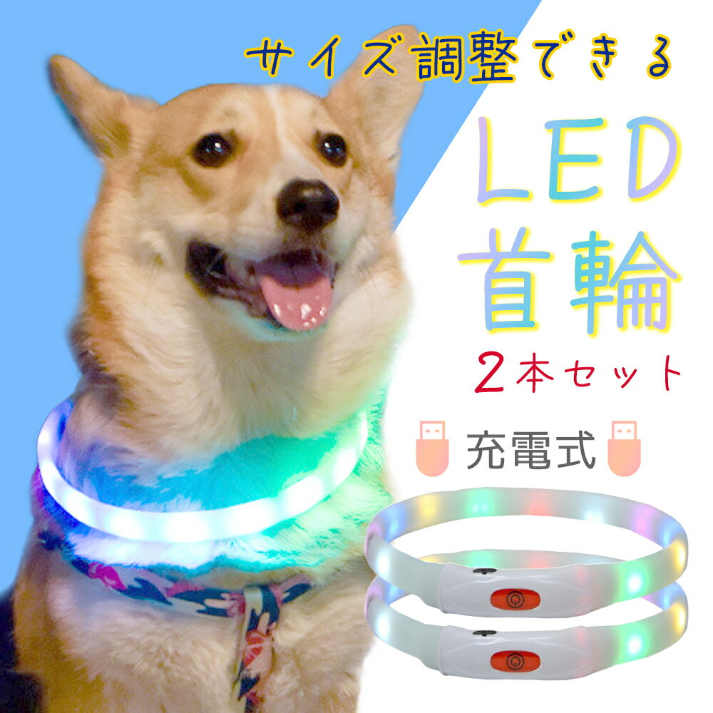 【2個セット】高評価4.6 犬 散歩 首輪 ライト 光る 首輪 led ペット 充電 小型犬 中型犬 大型犬 犬用品 ドッググッズ 安全 夜 さんぽ ひかる 安全 事故防止 自転車 リード 点滅 点灯 猫