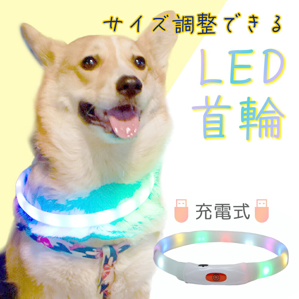犬 散歩 首輪 ライト 光る 首輪 led 
