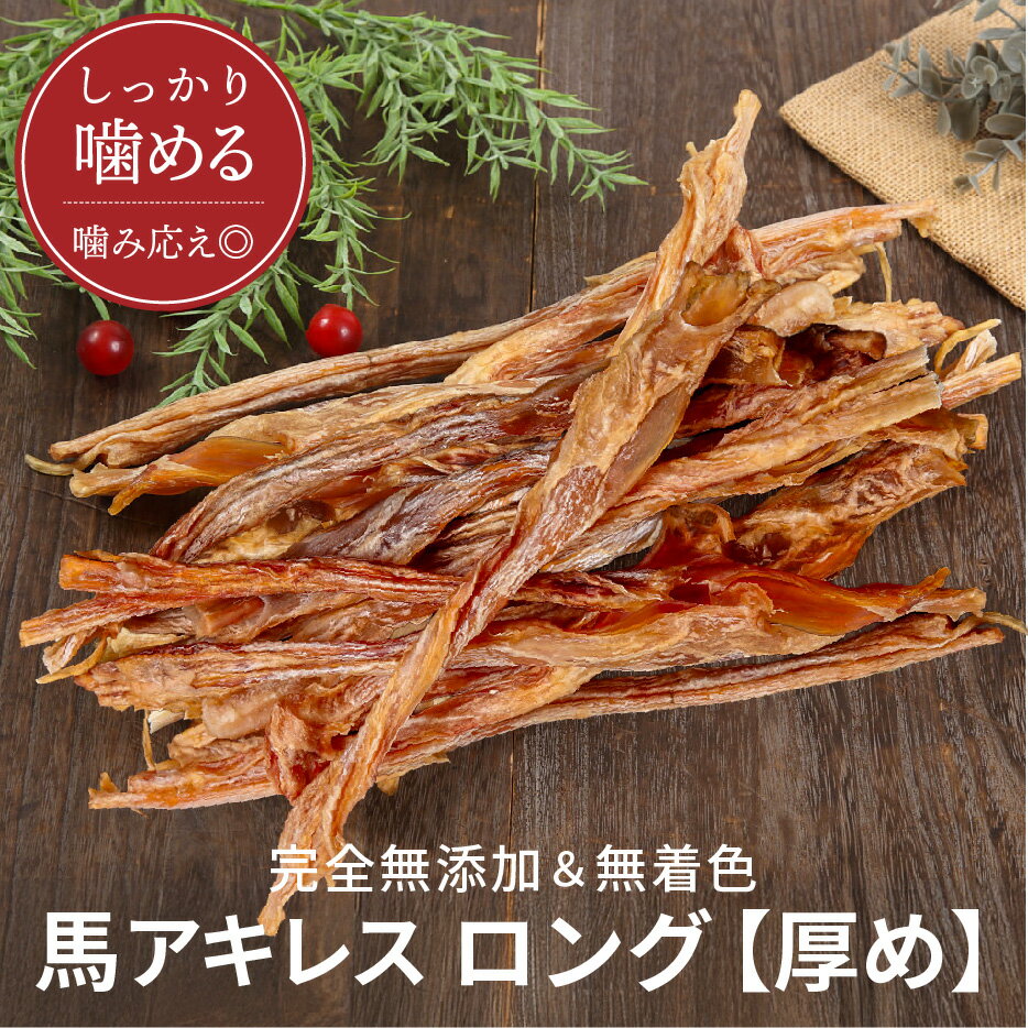 馬アキレス ロング 厚め 太め 900g（4