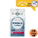 【おまけ付】【4袋セット】フォルツァ10 DOG インテスティナルアクティブ ミニ 250g×4袋 ドッグフード ドライ 総合栄養食 療法食 消化器 胃腸 フォ...
