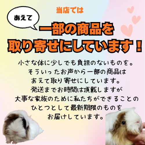 【期限最新とりよせ＆売上の一部が保護犬へ】ミネラルエクストラクリーニング シャ...