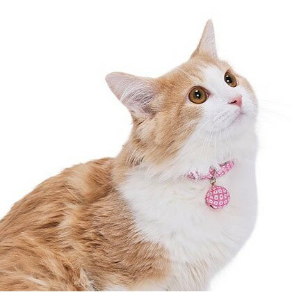 【メール便】CAT Amo.k アモワークス キャット J-和み カラー ピンク グリーン S M サイズ 猫用 首輪 セーフティーバックル 810116 2