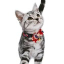 【メール便】CAT Amo.k アモワークス キャット しおり(リボン付きタイプ) カラー レッド ブラック S M サイズ 猫用首輪 セーフティバックル 8...