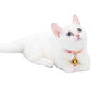【メール便】CAT Amo.k アモワークス キャット ぽっくりさん カラー レッド ブルー S M サイズ 猫用首輪 セーフティバックル 810121
