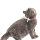 【メール便】CAT Amo.k アモワークス キャット 天使と悪魔の羽 カラー レッド ネイビー S M サイズ 猫用首輪 セーフティバックル 810127