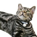 【メール便】CAT Amo.k アモワークス キャット ポンポンレース カラー レッド ブルー S M サイズ 猫用首輪 セーフティバックル 810049