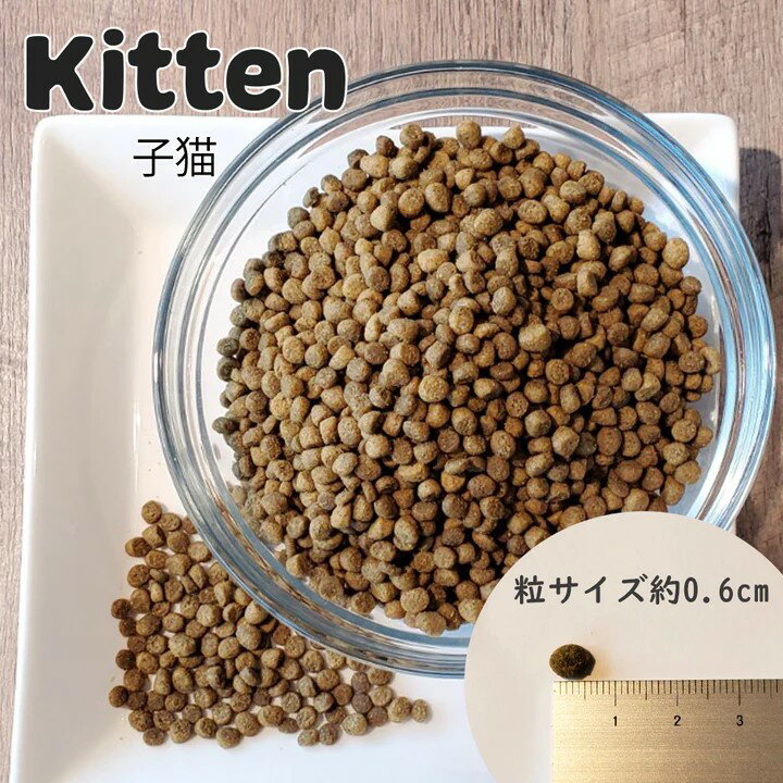 ネイチャーズハグ Nature’s HUG CAT キトン 1.81kg キャットフード ドライ 2