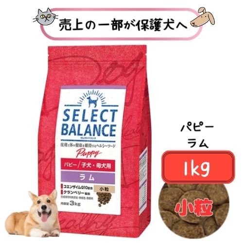 セレクトバランス パピー ラム 小粒