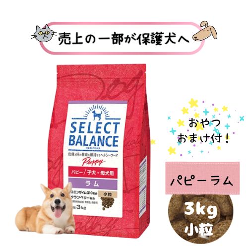 セレクトバランスパピーラム小粒3k...