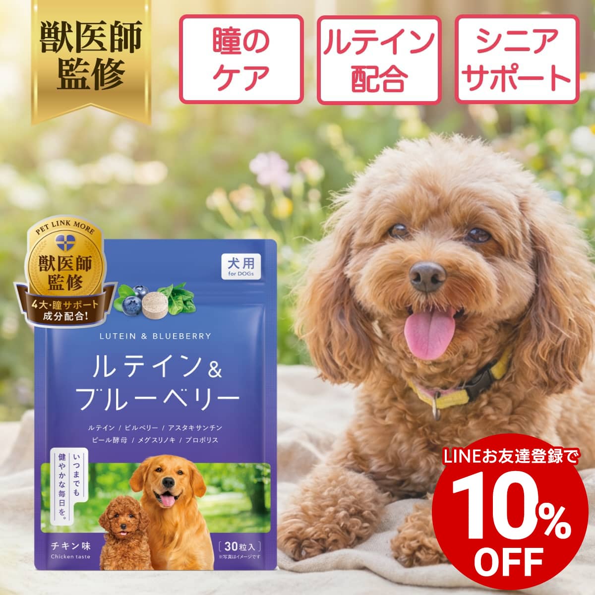 楽天市場】日本ビーエフ株式会社 犬の瞳に ブルーベリー＆ルテイン
