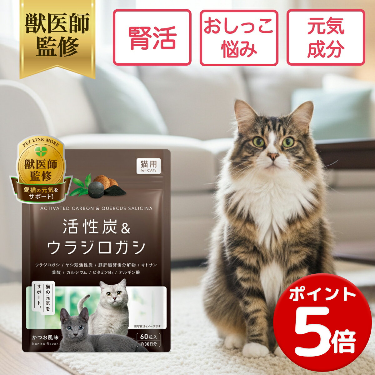 楽天市場】毎日 腎 活の通販