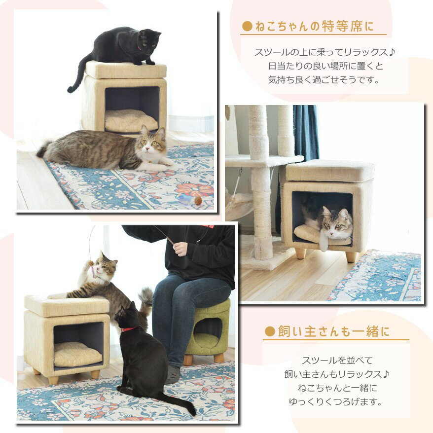 【新品】ペットハウススツール [四角] 布 グリーン ベージュ ペット家具 猫のお家 ファブリック おしゃれ 可愛い インテリア イス クッション付き ねこ 3