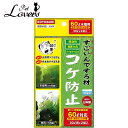 コトブキ工芸 すごいんですろ材 コケ防止 [30L用×2袋] 水槽用品 淡水用 約60cm水槽用 日本製 バイオボール入り マット袋タイプ KOTOBUKI